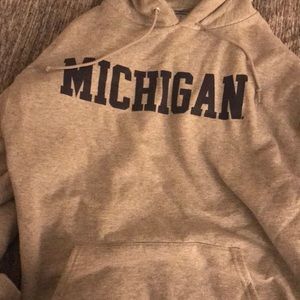 Champion L Michigan hoodie